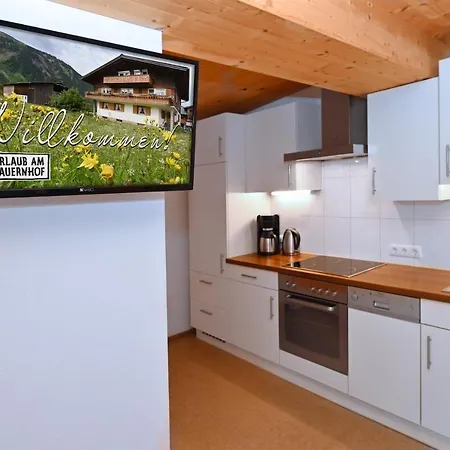 Appartements Willi Κατάλυμα σε φάρμα Schoppernau