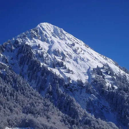 Willi Alloggio per agriturismo Schoppernau