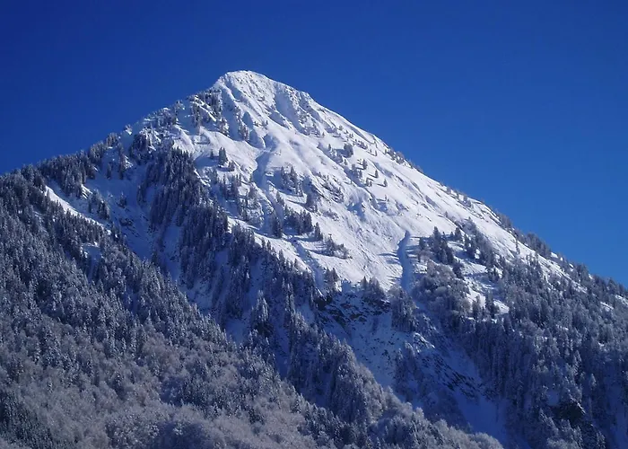 Appartements Willi Farm stay Schoppernau