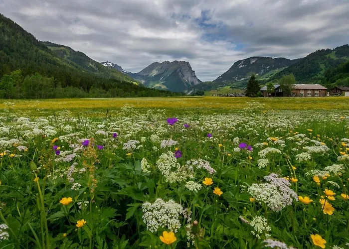 Farma Willi Schoppernau
