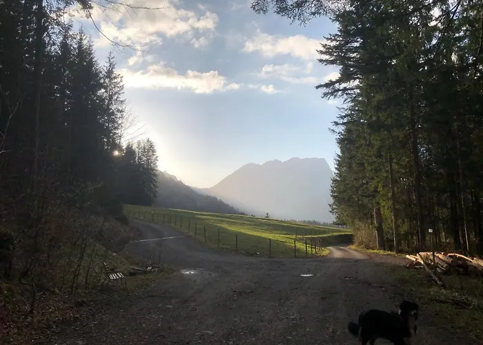 Farm stay Appartements Willi *